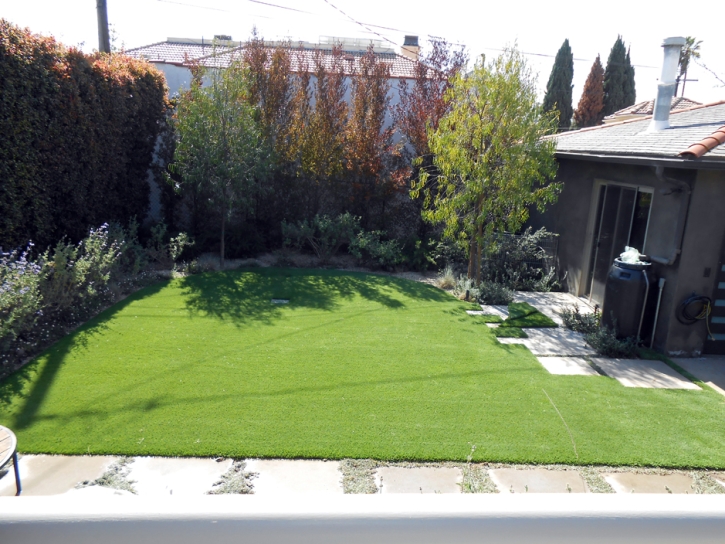 Grass Carpet Bronson, Michigan Landscaping Business, Small Backyard Ideas