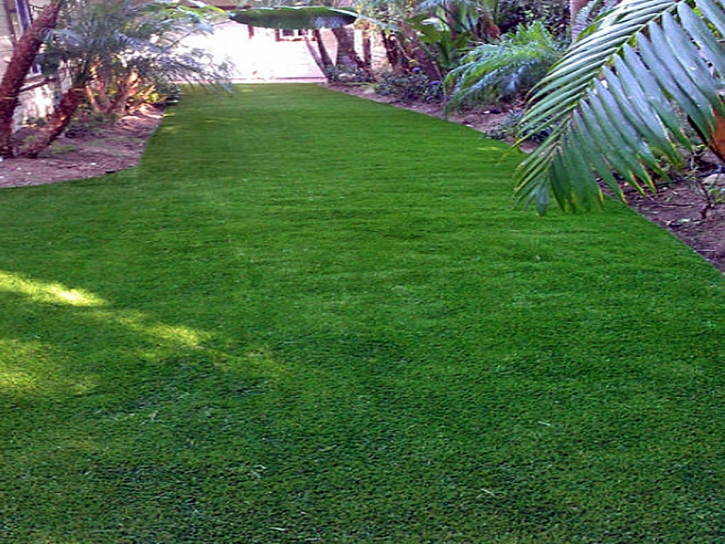 Grass Carpet Columbiaville, Michigan City Landscape, Backyard Landscape Ideas