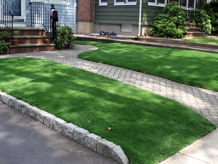 Grass Carpet Deckerville, Michigan Gardeners, Front Yard Design