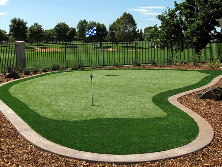 Grass Carpet McBride, Michigan Putting Green Turf, Backyard Makeover