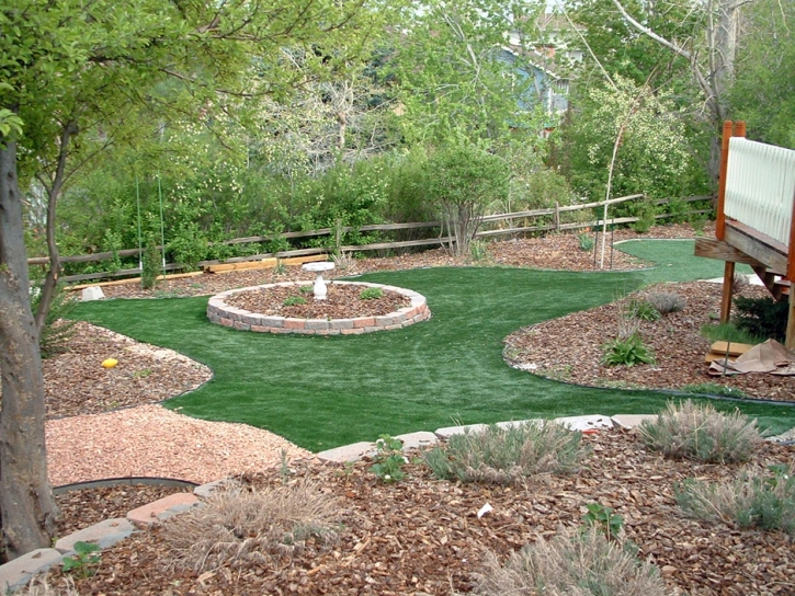 Grass Carpet New Haven, Michigan Landscaping, Backyard Designs