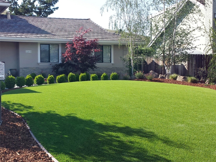 Grass Carpet North Branch, Michigan City Landscape, Front Yard Landscaping