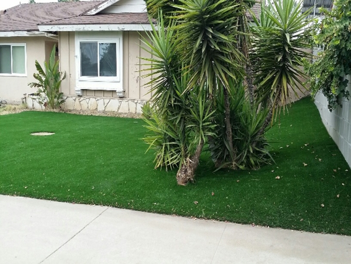 Grass Carpet Wyoming, Michigan Rooftop, Front Yard