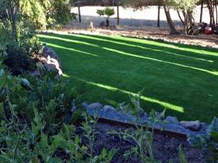 Grass Installation Galesburg, Michigan Landscaping, Backyard Ideas