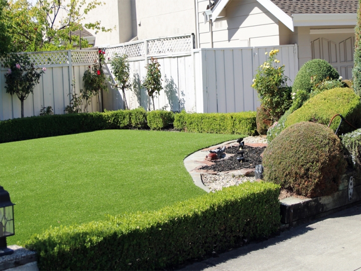 Grass Installation Leonard, Michigan Backyard Playground, Front Yard Design