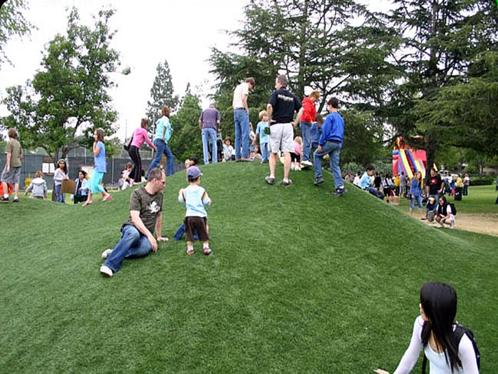 Grass Turf Beal City, Michigan Gardeners, Recreational Areas