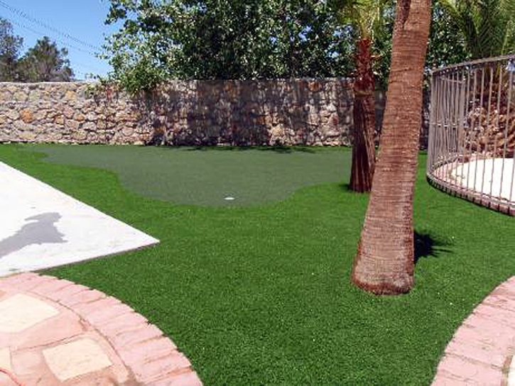 Grass Turf Forest Hills, Michigan Office Putting Green, Beautiful Backyards