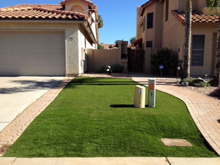 Grass Turf Haslett, Michigan Landscape Ideas, Front Yard