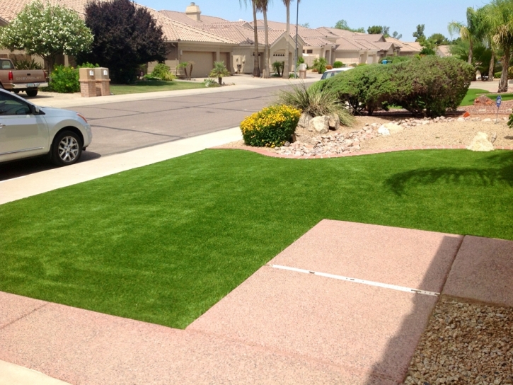 Grass Turf Prudenville, Michigan Backyard Playground, Front Yard Ideas