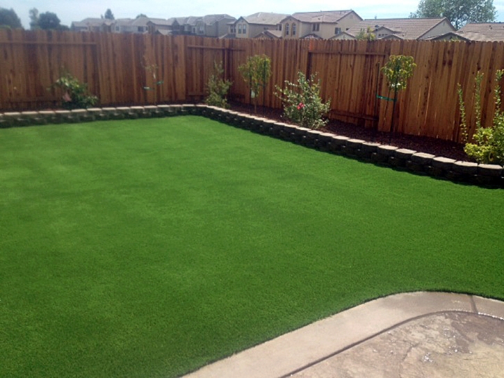 Grass Turf Woodhaven, Michigan Roof Top, Small Backyard Ideas