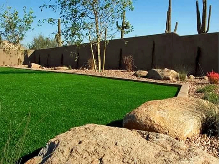 Green Lawn Breedsville, Michigan Roof Top, Backyard Landscape Ideas