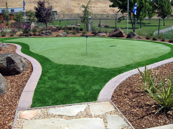 Green Lawn Colon, Michigan Indoor Putting Greens, Backyard Designs