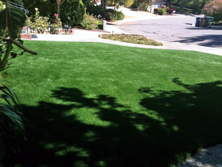 Green Lawn Melvindale, Michigan City Landscape, Front Yard Landscaping