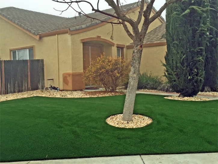 Green Lawn Montgomery, Michigan Landscaping, Front Yard