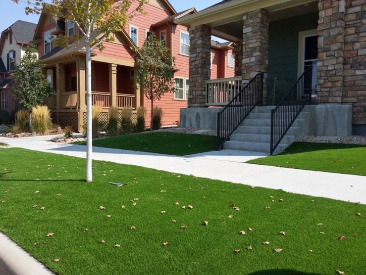 How To Install Artificial Grass Dearborn Heights, Michigan Rooftop, Front Yard Landscaping Ideas