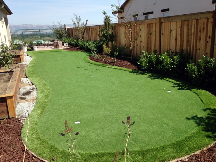 Installing Artificial Grass Comstock Northwest, Michigan Design Ideas, Backyards