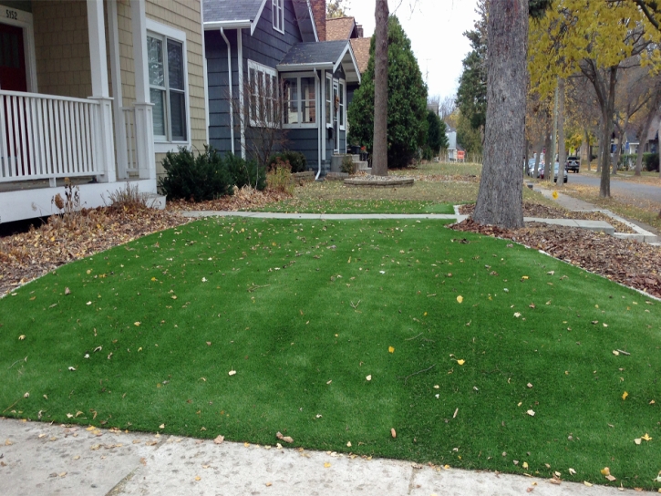 Lawn Services Okemos, Michigan Home And Garden, Front Yard Design