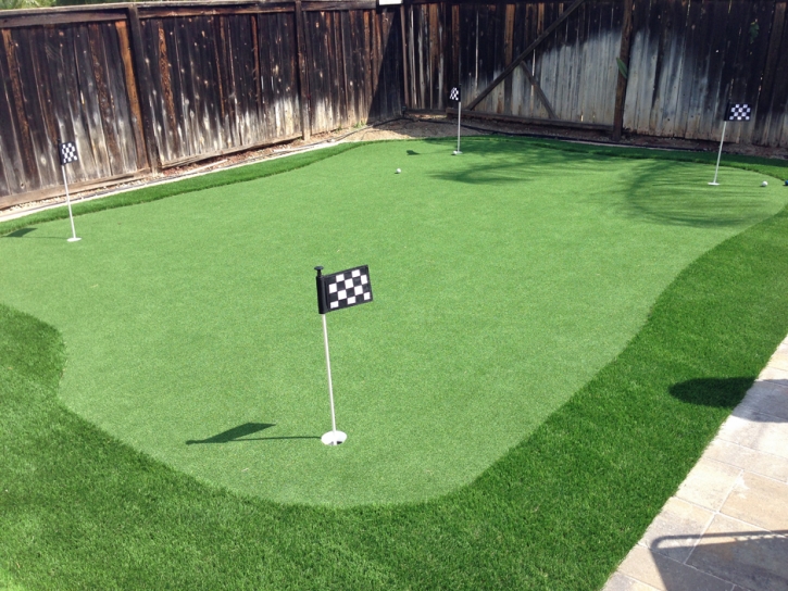 Outdoor Carpet Belleville, Michigan Putting Green, Backyard Landscaping Ideas