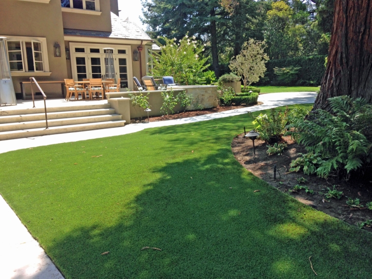 Outdoor Carpet Mayville, Michigan Lawn And Garden, Backyard