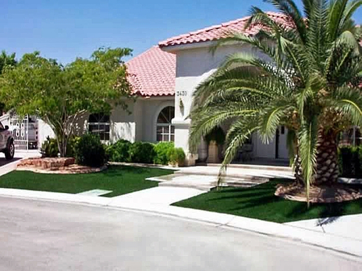 Outdoor Carpet Otter Lake, Michigan Lawns, Front Yard Design