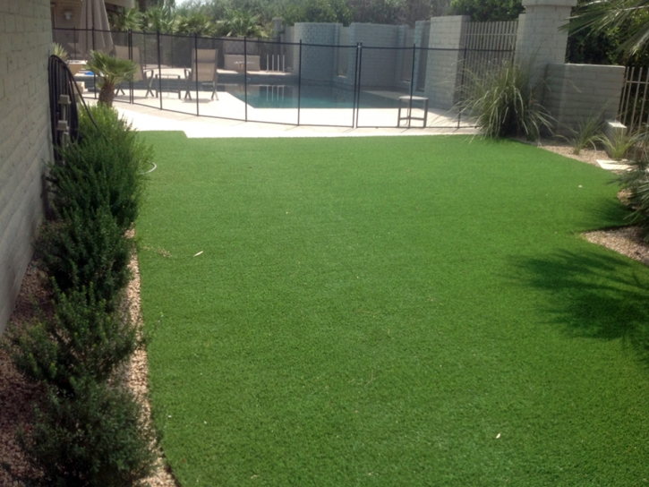 Outdoor Carpet Sterling Heights, Michigan Landscaping Business, Backyard Ideas