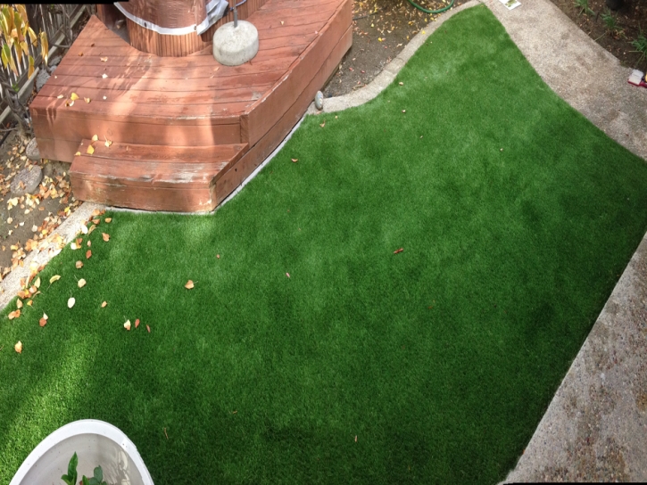 Outdoor Carpet Swartz Creek, Michigan Roof Top, Backyard Landscaping