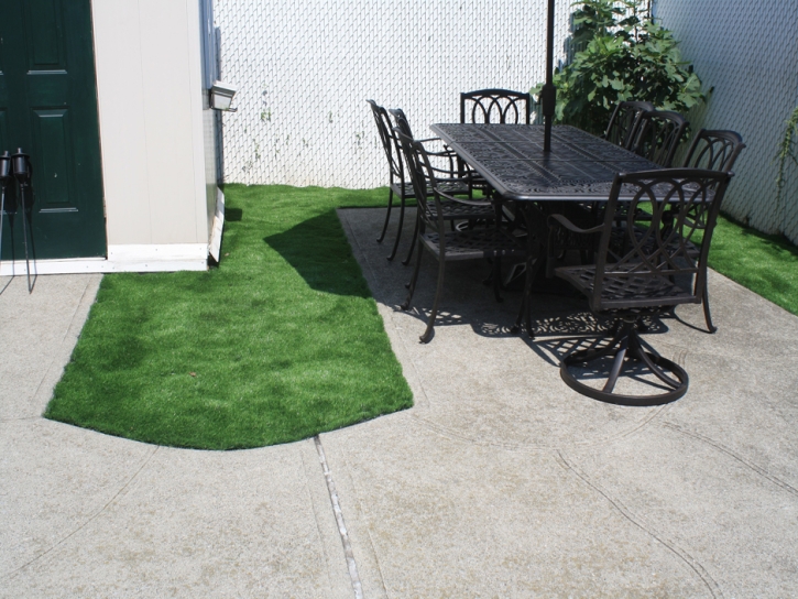 Plastic Grass Berrien Springs, Michigan Landscape Design, Backyard Ideas