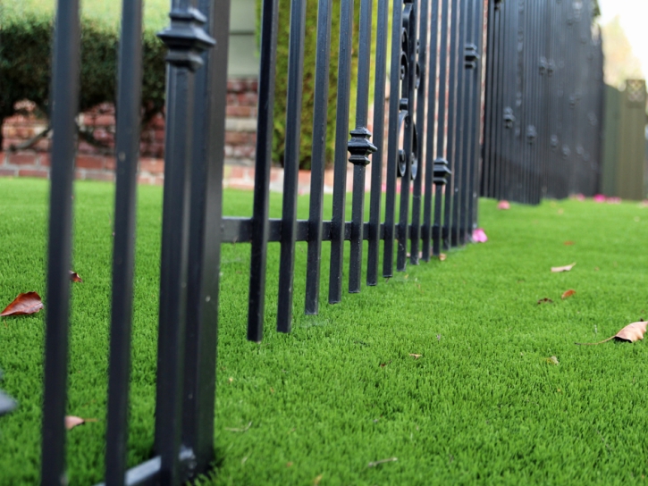 Plastic Grass Burt, Michigan City Landscape, Front Yard Landscaping