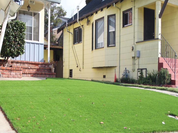 Plastic Grass Byron, Michigan Roof Top, Front Yard Landscaping