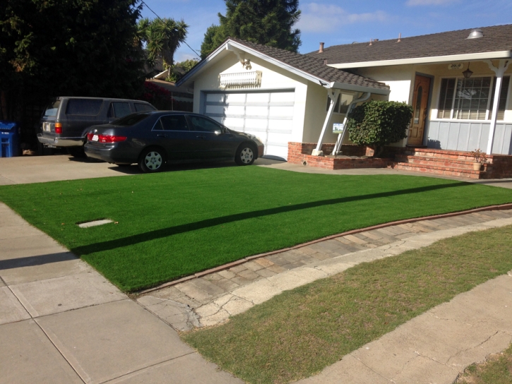 Plastic Grass Grand Haven, Michigan Rooftop, Front Yard Landscaping