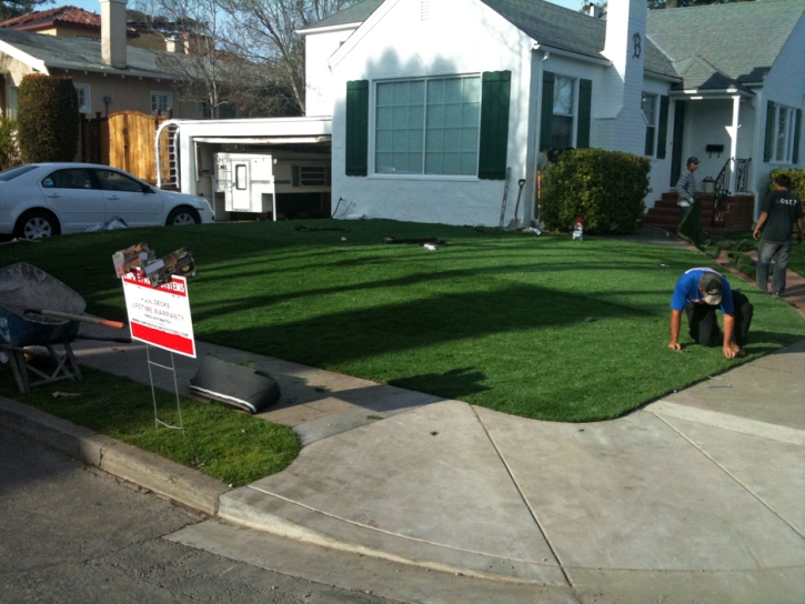 Plastic Grass Grosse Pointe Park, Michigan Lawn And Garden, Front Yard Landscape Ideas