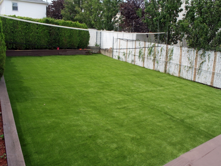 Plastic Grass Oakley, Michigan Gardeners, Backyard Designs