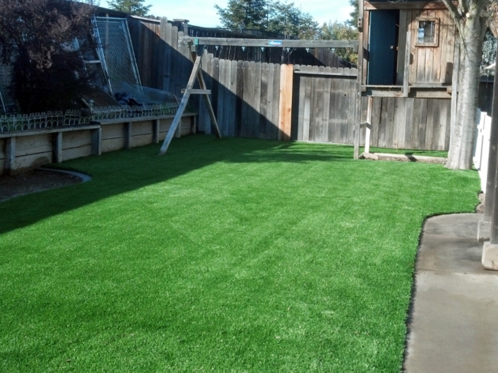 Plastic Grass Whittemore, Michigan Landscaping, Backyard Landscape Ideas