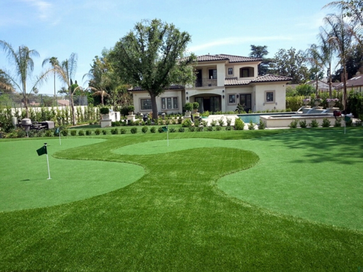 Synthetic Grass Barton Hills, Michigan Garden Ideas, Front Yard Ideas