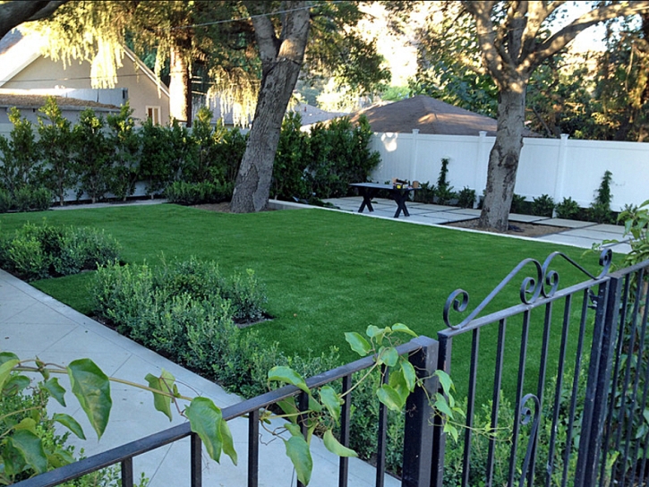 Synthetic Grass Beecher, Michigan Landscaping, Front Yard Landscaping Ideas