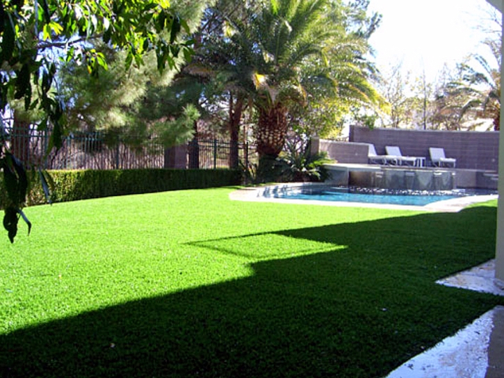 Synthetic Grass Carleton, Michigan Roof Top, Backyard