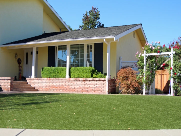 Synthetic Grass Carrollton, Michigan Roof Top, Landscaping Ideas For Front Yard