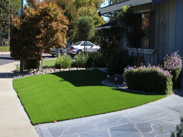 Synthetic Grass Cost Bloomingdale, Michigan Design Ideas, Front Yard Design