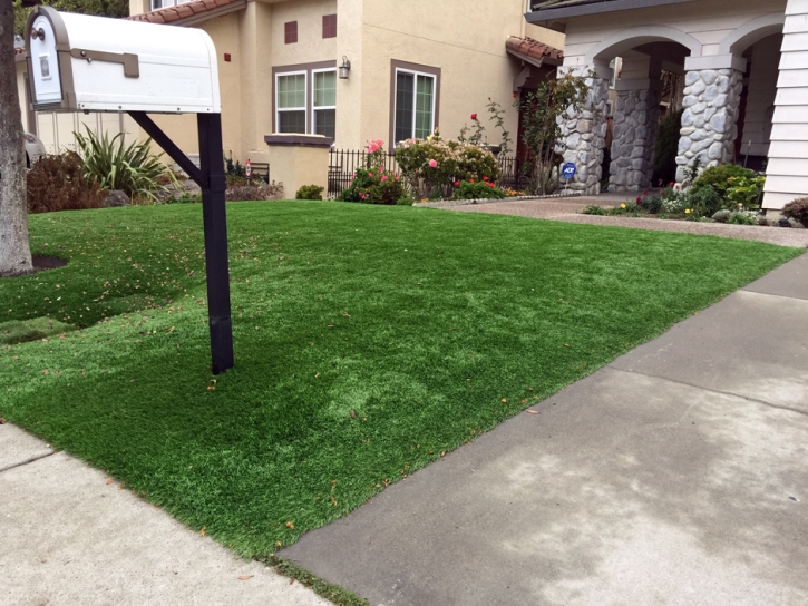 Synthetic Grass Cost Clinton, Michigan Paver Patio, Front Yard