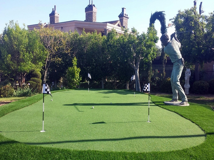 Synthetic Grass Cost Lake Isabella, Michigan Indoor Putting Green, Backyard Designs