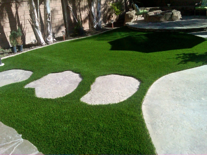 Synthetic Grass Cost Manchester, Michigan Landscape Photos, Backyards