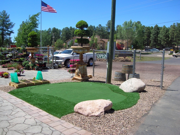 Synthetic Grass Cost Ovid, Michigan Gardeners, Commercial Landscape