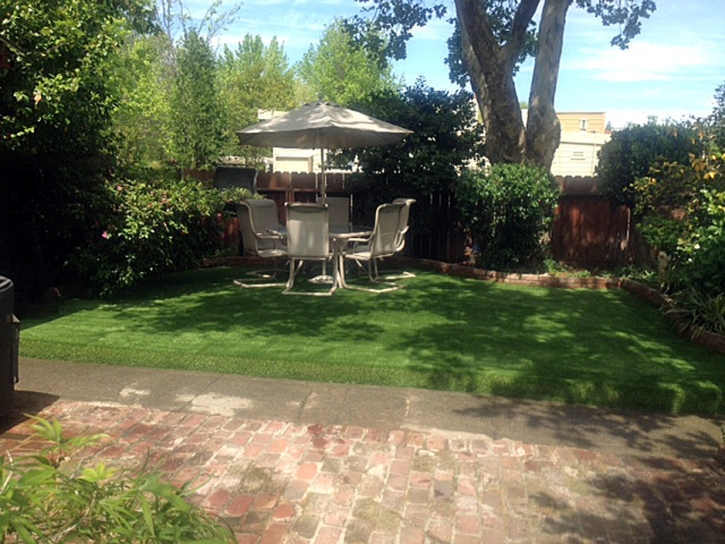 Synthetic Grass Cost South Rockwood, Michigan Home And Garden, Backyard