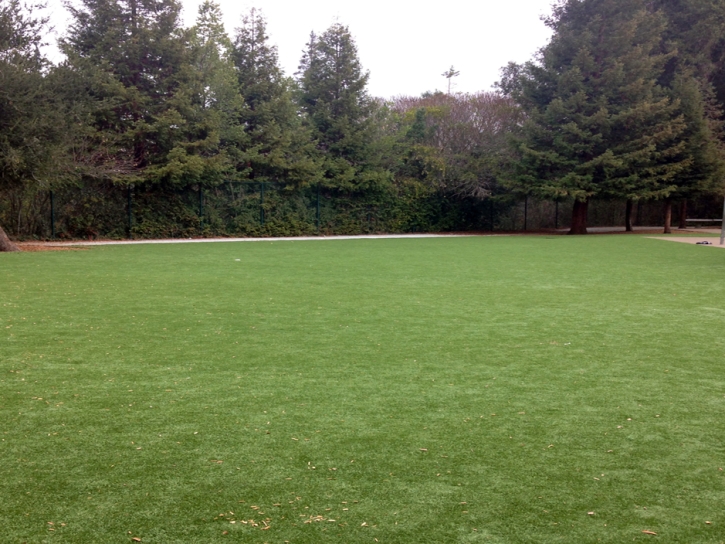 Synthetic Grass Kalamazoo, Michigan Gardeners, Recreational Areas