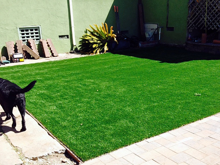 Synthetic Grass Loomis, Michigan Landscaping Business, Backyard Garden Ideas