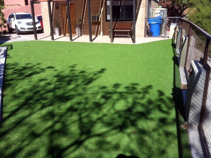 Synthetic Grass Potterville, Michigan City Landscape, Backyard Landscaping Ideas