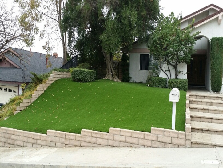 Synthetic Grass Skidway Lake, Michigan Rooftop, Front Yard