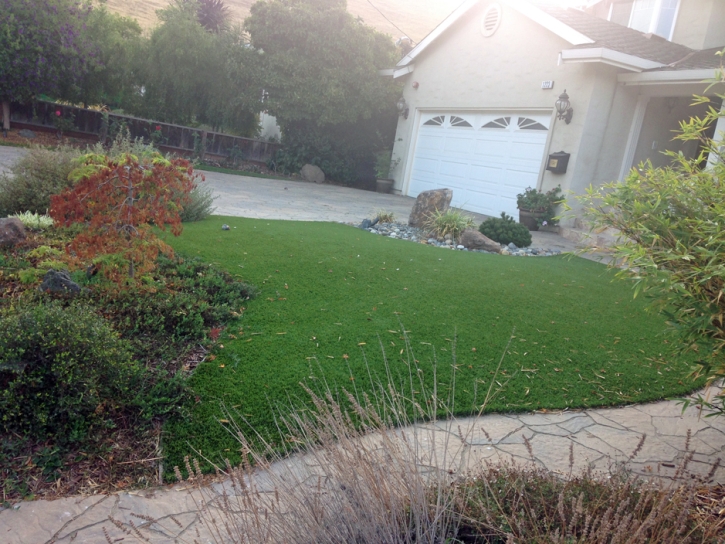 Synthetic Lawn Auburn Hills, Michigan Roof Top, Front Yard Landscaping Ideas