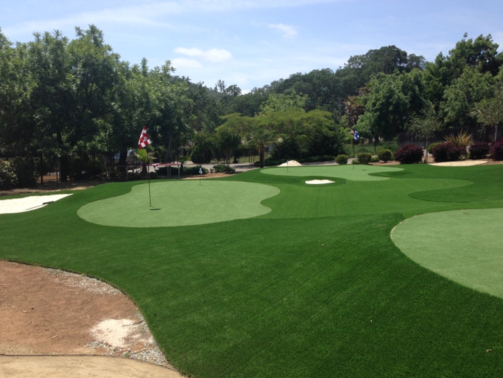 Synthetic Lawn Croswell, Michigan Indoor Putting Green, Front Yard