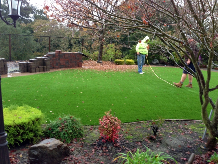 Synthetic Lawn Highland Park, Michigan Lawn And Landscape, Backyard Ideas